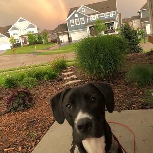 Meet your Posher, Aidan